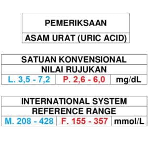 Asam Urat pdf